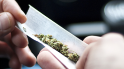 Cannabis Use Among Drivers Suspected of Driving Under the Influence or Involved in Collisions: Analysis of Washington State Patrol Data