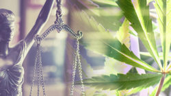 Assessing the Feasibility of Evaluating the Legal Implications of Marijuana Per Se Statutes in the Criminal Justice System
